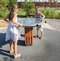  Skilled game at the Marble Table in Sochi Park Olympics