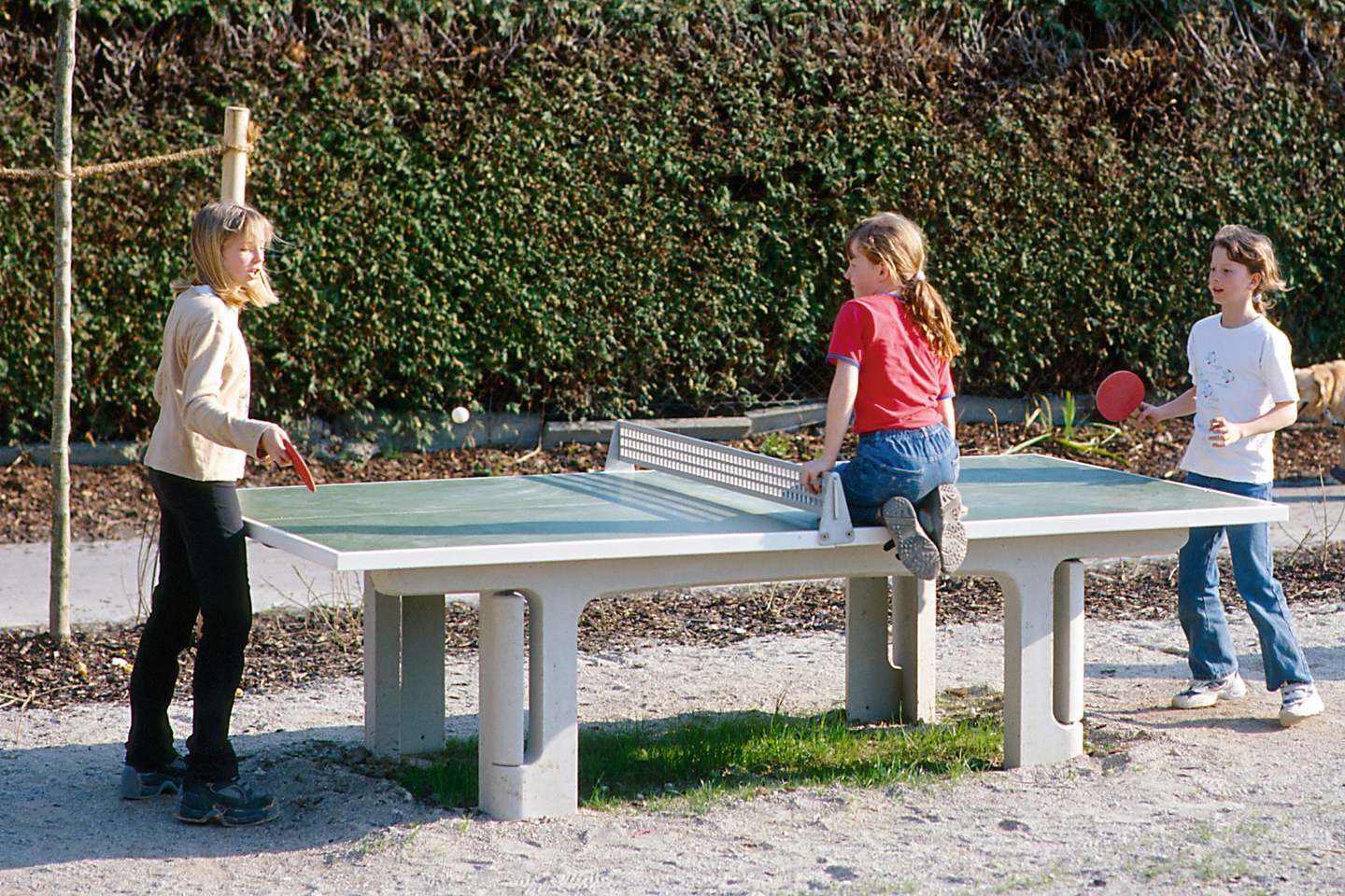 Table Tennis Table with net Order No